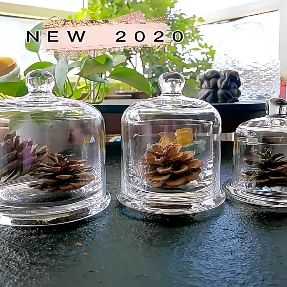 Cam Saklama Kavanozu Ebedi Çiç - Food Storage In Plants incelemesi ve fiyatı